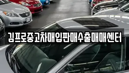 서울특별시 종로구 권농동 중고차매매 전문 김프로중고차매입판매수출매매센터