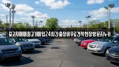 서울특별시 종로구 권농동 중고차매매,단기렌트카,중고차매입,장기렌트카,중고차,렌트카