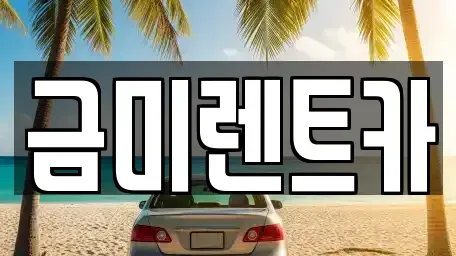 서울특별시 종로구 동숭동 렌트카 전문 금미렌트카
