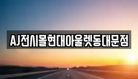 서울특별시 종로구 동숭동 장기렌트카 전문 AJ전시몰현대아울렛동대문점