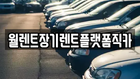 서울특별시 종로구 동숭동 장기렌트카 전문 월렌트장기렌트플랫폼직카