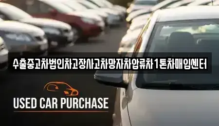 서울특별시 종로구 동숭동 중고차매매 전문 수출중고차법인차고장사고차망자차압류차1톤차매입센터