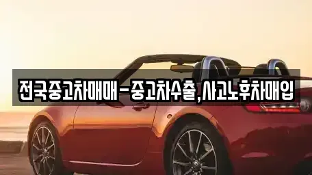 서울특별시 종로구 동숭동 중고차매매 전문 전국중고차매매-중고차수출,사고노후차매입