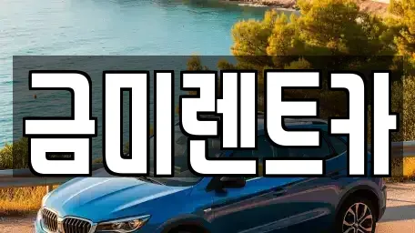서울특별시 종로구 옥인동 렌트카 전문 금미렌트카