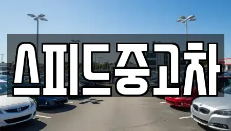 서울특별시 종로구 옥인동 중고차매매 전문 스피드중고차