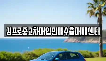 서울특별시 종로구 중고차 전문 김프로중고차매입판매수출매매센터