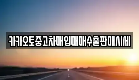 서울특별시 종로구 중고차매입 전문 카카오토중고차매입매매수출판매시세