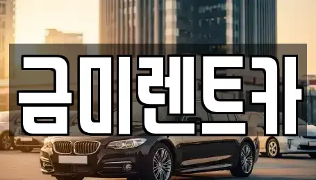 서울특별시 종로구 홍지동 렌트카 전문 금미렌트카
