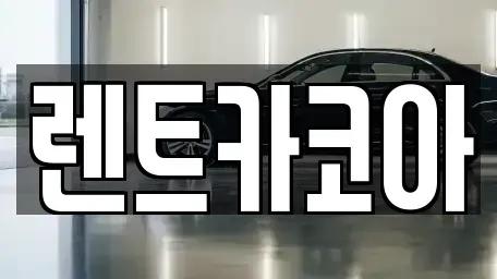서울특별시 중구 만리동1가 렌트카 전문 렌트카코아