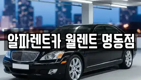 서울특별시 중구 산림동 렌트카 전문 알파렌트카 월렌트 명동점