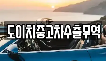 서울특별시 중구 산림동 중고차 전문 도이치중고차수출무역