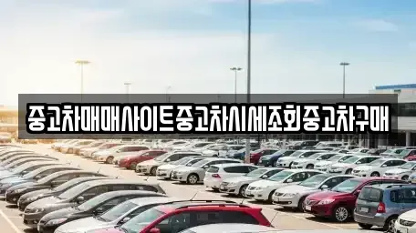 서울특별시 중구 산림동 중고차 전문 중고차매매사이트중고차시세조회중고차구매