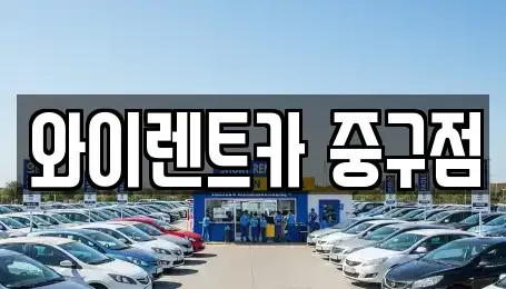 서울특별시 중구 장충동1가 렌트카 전문 와이렌트카 중구점