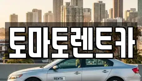 서울특별시 중구 장충동1가 렌트카 전문 토마토렌트카
