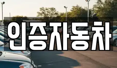 서울특별시 중구 장충동1가 중고차 전문 인증자동차