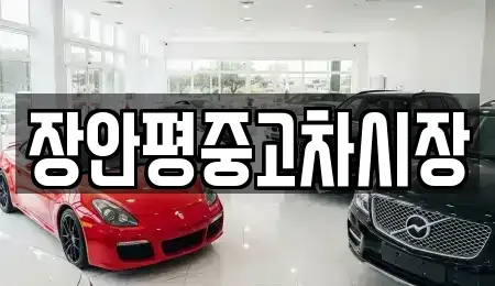 서울특별시 중구 장충동1가 중고차 전문 장안평중고차시장
