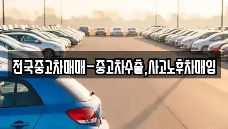 서울특별시 중구 장충동1가 중고차 전문 전국중고차매매-중고차수출,사고노후차매입