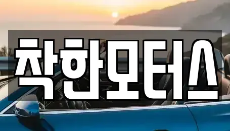 서울특별시 중구 장충동1가 중고차 전문 착한모터스