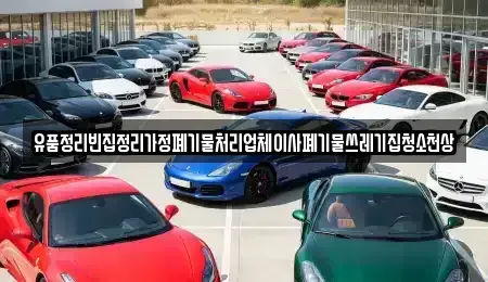 서울특별시 중구 장충동1가 중고차매입 전문 유품정리빈집정리가정폐기물처리업체이사폐기물쓰레기집청소천상