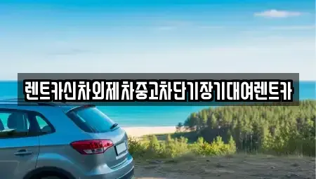서울특별시 중구 태평로1가 단기렌트카 전문 렌트카신차외제차중고차단기장기대여렌트카