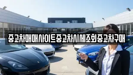 서울특별시 중구 태평로1가 중고차 전문 중고차매매사이트중고차시세조회중고차구매