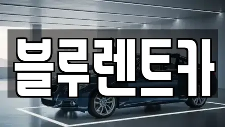 서울특별시 중구 흥인동 렌트카 전문 블루렌트카