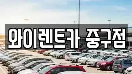 서울특별시 중구 흥인동 렌트카 전문 와이렌트카 중구점