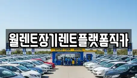 서울특별시 중구 흥인동 장기렌트카 전문 월렌트장기렌트플랫폼직카