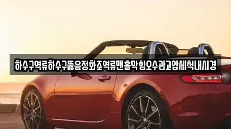 서울특별시 중구 흥인동 중고차 전문 하수구역류하수구뚫음정화조역류맨홀막힘오수관고압세척내시경