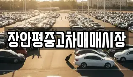 서울특별시 중구 흥인동 중고차매매 전문 장안평중고차매매시장