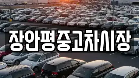 서울특별시 중구 흥인동 중고차매매 전문 장안평중고차시장