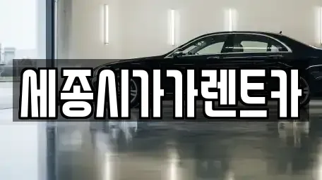 세종 아름동 렌트카 전문 세종시가가렌트카