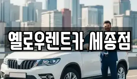 세종 아름동 렌트카 전문 옐로우렌트카 세종점