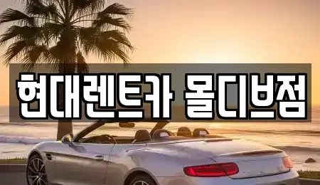 세종 아름동 장기렌트카 전문 현대렌트카 몰디브점