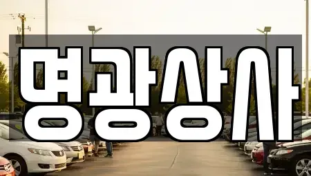 세종 아름동 중고차,렌트카,중고차매입,중고차매매,장기렌트카,단기렌트카