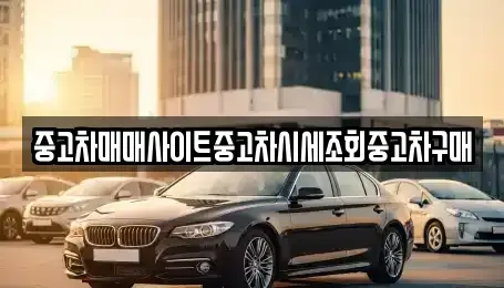 세종 아름동 중고차매매 전문 중고차매매사이트중고차시세조회중고차구매