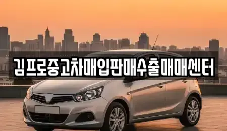 세종 아름동 중고차매입 전문 김프로중고차매입판매수출매매센터