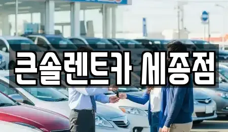 세종 연서면 렌트카 전문 큰솔렌트카 세종점