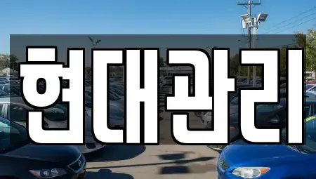 세종 연서면 렌트카 전문 현대관리