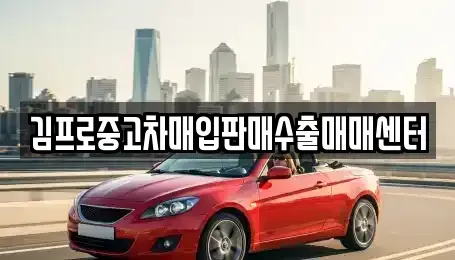 세종 연서면 중고차매입 전문 김프로중고차매입판매수출매매센터