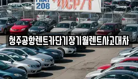 세종 전동면 단기렌트카,중고차매입,중고차매매,중고차,렌트카,장기렌트카