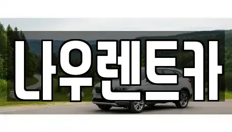 세종 전동면 렌트카 전문 나우렌트카