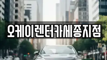 세종 전동면 렌트카 전문 오케이렌터카세종지점