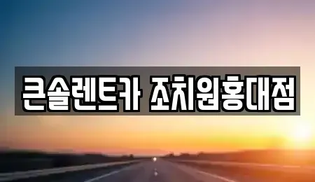 세종 전동면 렌트카 전문 큰솔렌트카 조치원홍대점