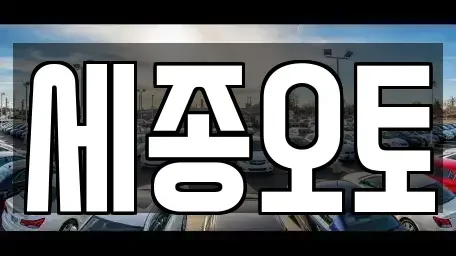 세종 전동면 중고차 전문 세종오토