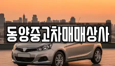 세종 전동면 중고차매매 전문 동양중고차매매상사