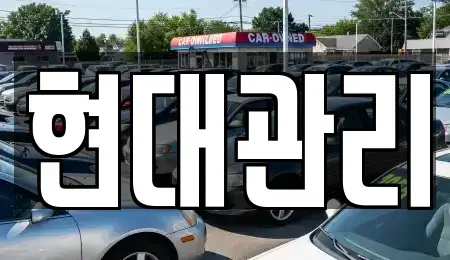 세종특별자치시 부강면 렌트카 전문 현대관리