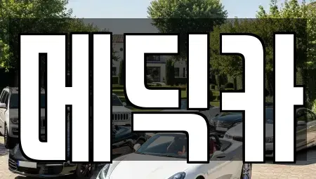 세종특별자치시 부강면 중고차 전문 메딕카