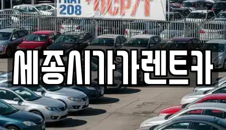 세종특별자치시 소담동 렌트카 전문 세종시가가렌트카