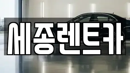 세종특별자치시 소담동 장기렌트카,중고차,렌트카,단기렌트카,중고차매입,중고차매매